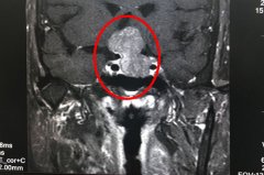 �������������������Ͷ��ˣ���