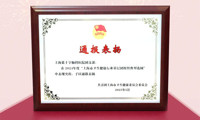 喜报丨蓝十字团支部和团干部获2024年度“上海市基层团组织典型选树”通报表扬!